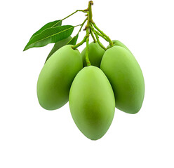 A bunch of green mangoes hanging freely on a white background. 
