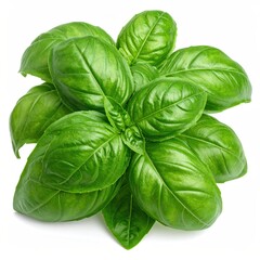 Lush cluster of vibrant green leaves, showcasing botanical detail