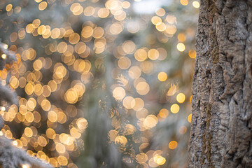 christmas tree with golden magic light bokeh.