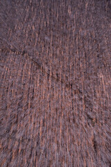 Winding dirt road through an autumn forest, seen from above