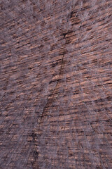 Winding dirt road through an autumn forest, seen from above