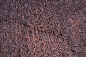 Winding dirt road through an autumn forest, seen from above