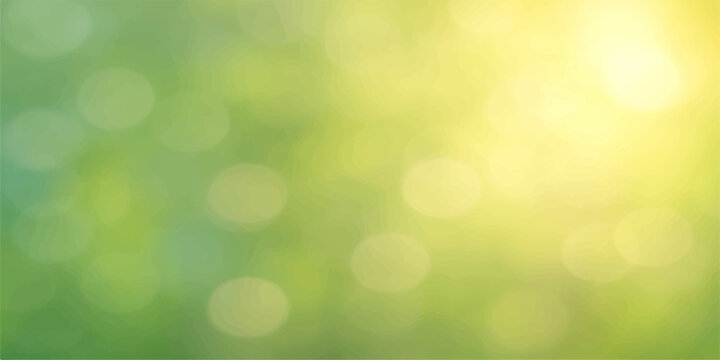 A glowing green abstract bokeh background features bright defocused light circles and a shiny blurred nature pattern creating a festive decorative effect for a spring or summer backdrop