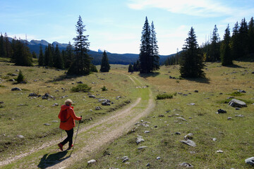 La pelouse de Darbounouse. Randonnée sur les Hauts-Plateaux du Vercors - Drôme. 
