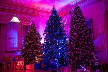 Christmas presents around christmas trees lit up with pink blue and purple baubles