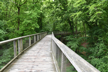 Baumwipfelpfad auf R&uuml;gen 