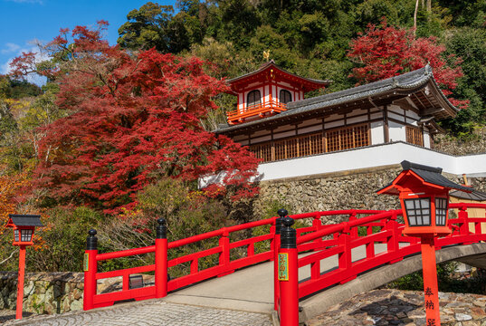 Ryuanji Temple's Phoenix Hall (Hououkaku) surrounded by brilliant red and yellow autumn foliage in Minoh Park. Minoh, Osaka, Japan.