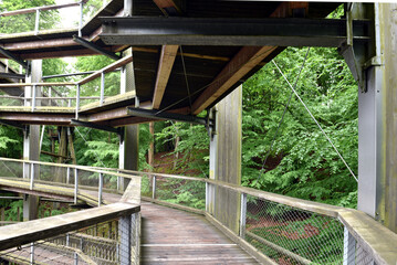 Baumwipfelpfad auf R&uuml;gen 