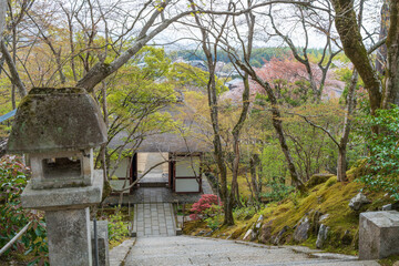Jojakkoji Temple grounds moss garden path leading to traditional building. Kyoto, Japan.