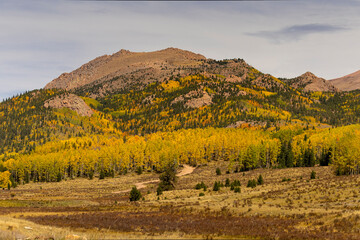 Fall Colors Pikes Peak