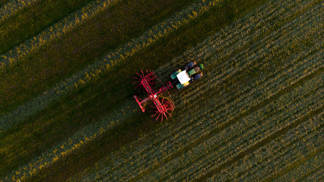 Aerial view of a tractor with a red rotary rake working in the fields, Agriculture, North Holland, Netherlands.