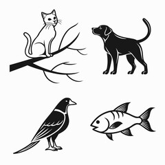 Illustrations of various animals © Sp