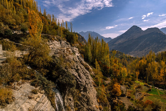 View of a rocky slope covered in vibrant autumn foliage, with tall, slender trees reaching towards a blue sky dotted with clouds, Hunza Nagar, Gilgit Baltistan, Pakistan.
