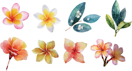 set of watercolor flowers