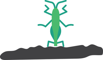 vector illustration of a Grasshopper, Color Vector Drawing, animal Vector, Vector Drawing, Illustration art vector 