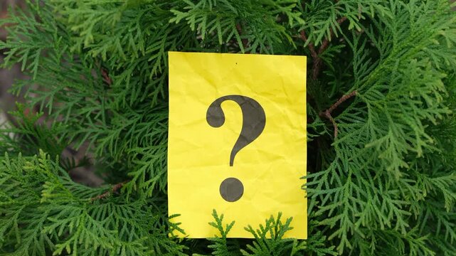 A yellow paper note with a question mark on it hanging on a juniper bush. Close up.
