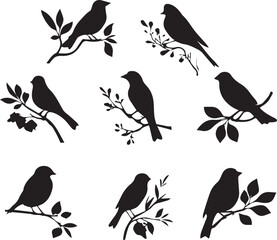 Black bird silhouette nature wildlife vector on bare tree branch sitting birds set