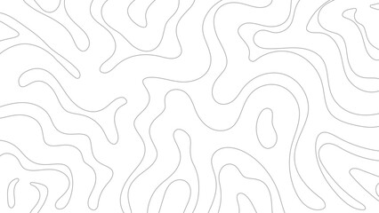 Topographic Map Line Pattern Background Hand drawn in Gray and White Monochrome.Vector Illustration