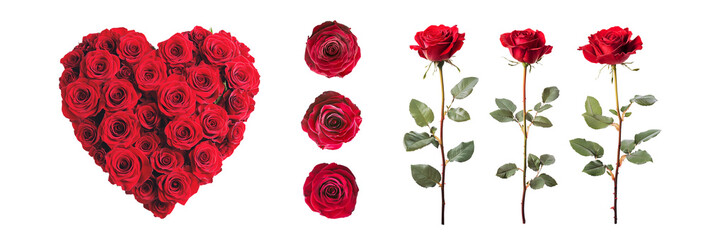Collection set of red roses flowers including a heart isolated on transparent or white background, valentine's day or wedding flowers love wreath, png