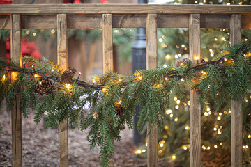 Cone and branch of fir-tree