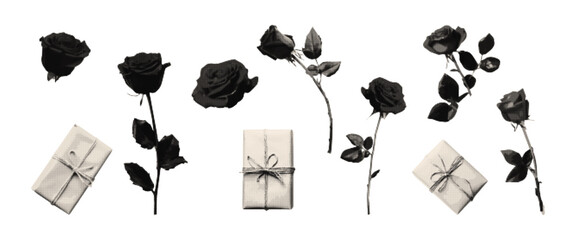 Fototapeta premium Retro elements with roses halftone effect for creating collage. Gift box grunge stippling grain texture. Trendy aesthetic vector illustration for poster design, t shirt, print.