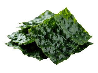 A pile of seaweed sits on top of a white surface, perfect for adding texture and coastal vibe to your design