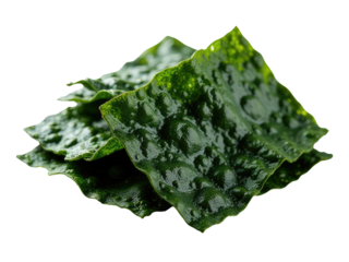 A pile of seaweed sits on top of a white surface, perfect for adding texture and coastal vibe to your design