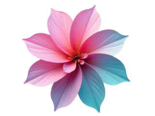 A bright pink and blue flower sitting on a clean white surface
