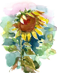 Watercolor painting of a sunflower with bright yellow petals and green leaves, expressive floral artwork in loose natural style