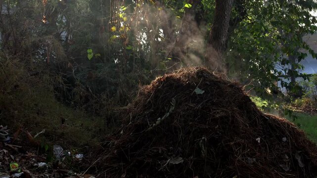 Morning vapor over organic biomass in rural himachal. This video captures a distant close-up of dried branches resting on cow manure, producing visible vapor under golden morning sunlight in winter.