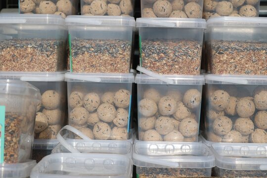 Bird Seed and Feed Balls in Transparent Containers