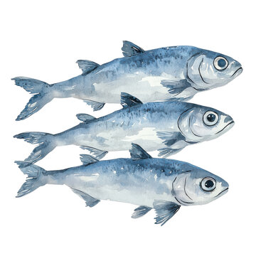 Three Silver Fish on Black on transparent background
