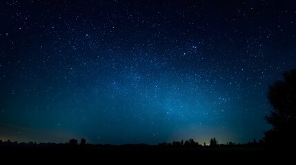 Naklejka premium Vast Starry Night Sky Over Silhouetted Landscape.