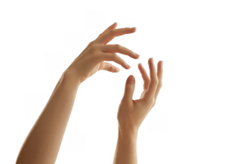 Two raised hands with fingers spread apart isolated on a transparent background