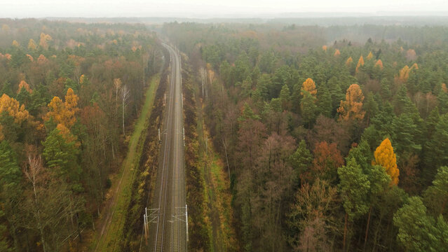 Aerial railway line running through autumn forest