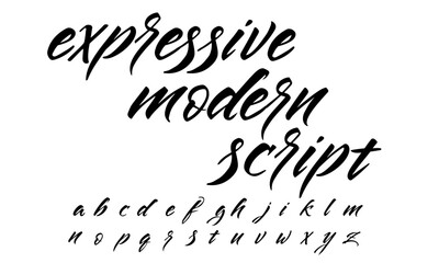 Expressive Lettering Script Alphabet Calligraphy Vector