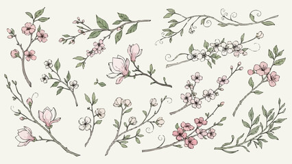 Collection of delicate blooming cherry blossom branches and magnolia flowers.