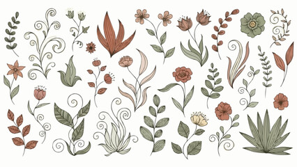 Hand Drawn Botanical Elements Collection Floral Leaves and Flowers.