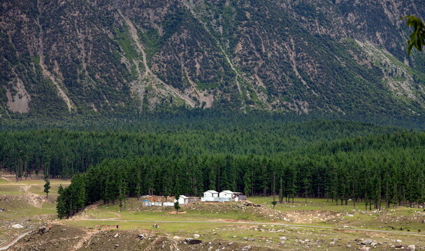 View of a cozy village nestled amidst a vast expanse of dense green forest and towering textured mountains, creating a serene contrast of nature, Kalam, Khyber Pakhtunkhwa, Pakistan.