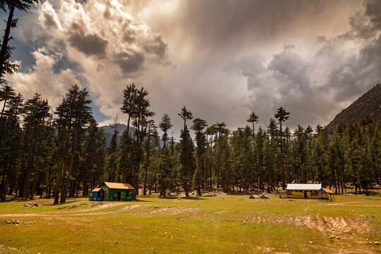 View of quaint cabins nestled amid towering evergreens under a dramatic sky, where light dances on the meadow in Kalam, Khyber Pakhtunkhwa, Pakistan.