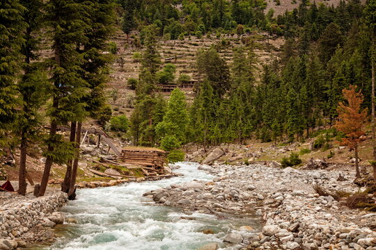 View of a rushing river winding through a rocky bed, flanked by dense evergreen trees and a small wooden structure, Kalam, Khyber Pakhtunkhwa, Pakistan.