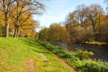 Fototapeta premium Tranquil riverside trail amid leafy surroundings, Idyllic pathway beside gentle river surrounded by trees