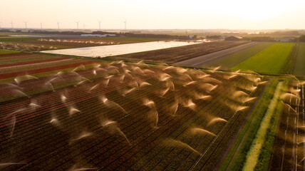 Aerial view of sprinklers casting arcs of water across fields of crops, creating a shimmering spectacle of irrigation and agriculture, Petten, North Holland, Netherlands.