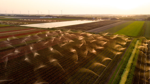 Aerial view of sprinklers casting arcs of water across fields of crops, creating a shimmering spectacle of irrigation and agriculture, Petten, North Holland, Netherlands.