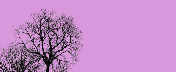 Dark forest tree silhouettes with bare branches on soft pink background. Minimal abstract nature backdrop with copy space, moody yet aesthetic botanical texture for posters, covers, branding and moder