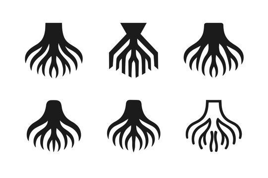 Kapok Tree Logos. Kapok giant. Set Logo of Kapok giant: buttress roots of ceiba tree. harmonious logo variations of the same emblematic concept, each with