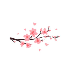 pink cherry blossom