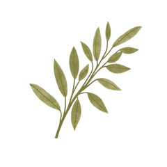 branch with green leaves