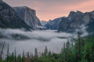 View of serene fog blankets the valley floor, cradled by towering granite cliffs kissed by the warm glow of sunrise, Yosemite Valley, California, United States.