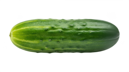 Fresh green cucumber